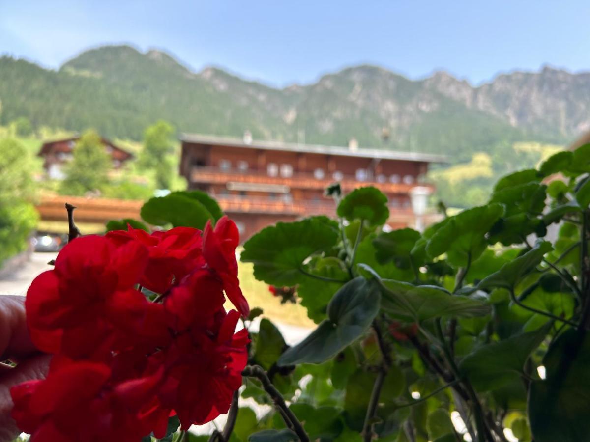 阿尔卑巴赫Haus Schmetterling公寓 外观 照片